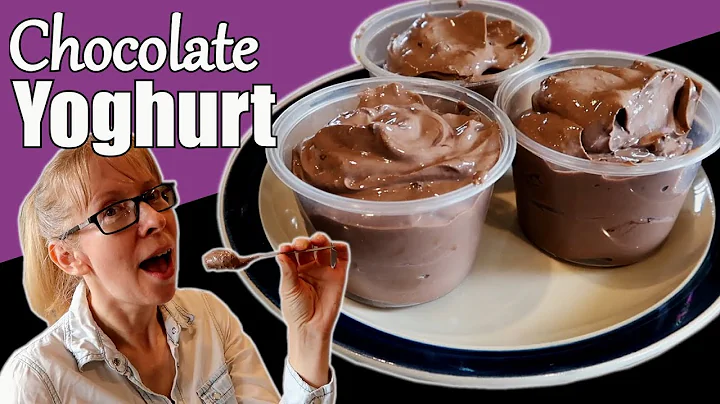 Chocolate Yoghurt Recipe / How to Make Chocolate Yoghurt