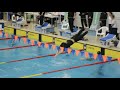 эстафета - Чемпионат МВД России по плаванию 2019