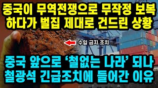 중국 앞으로 '철이 존재하지 않는 나라가 되나' 중국식 무역전쟁으로 무작정 보복하다가 벌집 제대로 건드린 상황.