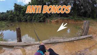 TEKNIK ANTI BONCOS KETIKA BANJIR, DIJAMIN BAWA PULANG IWAK PEYEK