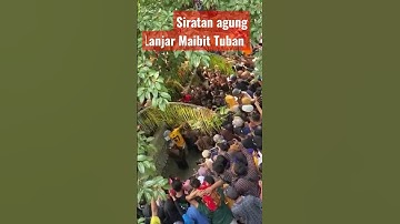 Prosesi siratan agung lanjar maibit Tuban #video #viralshorts