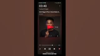 Eli Njuchi -_-Gold Digger (from Red flag Album 3 August 2022