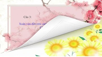 Âm nhạc 2 tiết 19 (Kết nối tri thức với cuộc sống)❤️❤️❤️