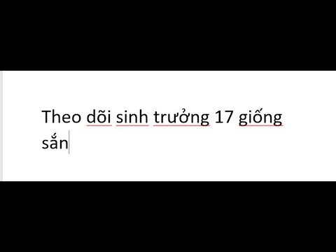Video Tổng hợp chim Hót|theo dõi sinh trưởng 17 giống sắn - youtube