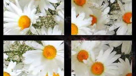 Thumbnail of Стас Михайлов-Мир без тебя