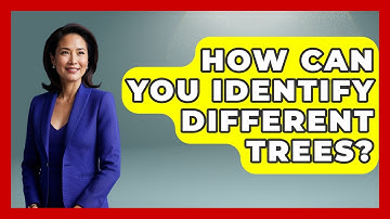 How Can You Identify Different Trees? - Exploring Campgrounds