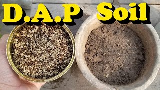 Seed Sowing Method | How to Mix DAP Fertilizer in Soil for Seed Sowing | Seed Sowing Techniques