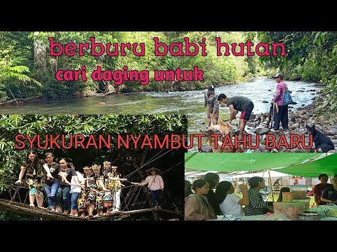 Video: Cara Menyambut Tahun Baru - Tahun Babi Bumi