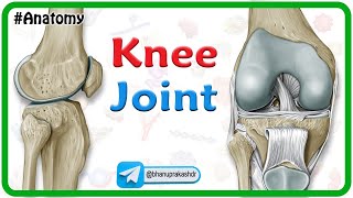 Knee Joint Anatomy Animation Bones Ligaments Menisci Innervation Blood Supply And Movements