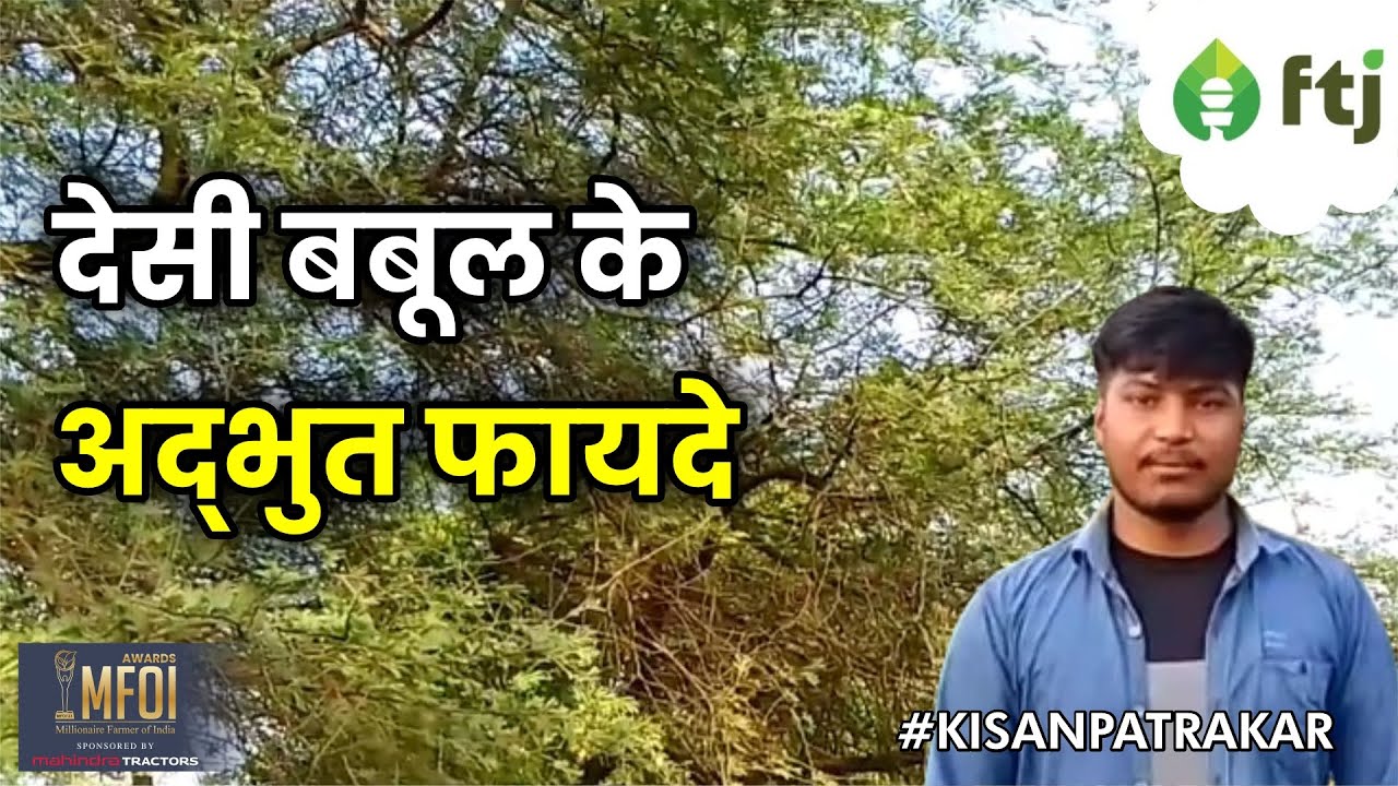 Health benefits of babool: देसी बबूल के फायदे और इसका उपयोग कैसे करें | Aman Gupta