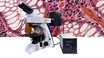 Fluorescence Microscope with 100W Mercury Lamp BK5000-FL Microscope