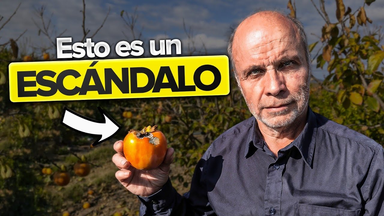 El GRAN DESPILFARRO que NADIE QUIERE CONTAR en la Agricultura