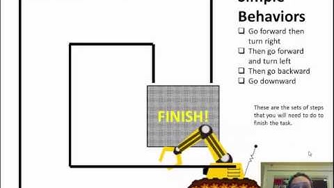 Robot Behaviors