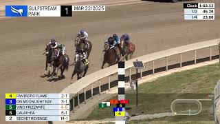 Vidéo de la course PMU MAIDEN SPECIAL WEIGHT