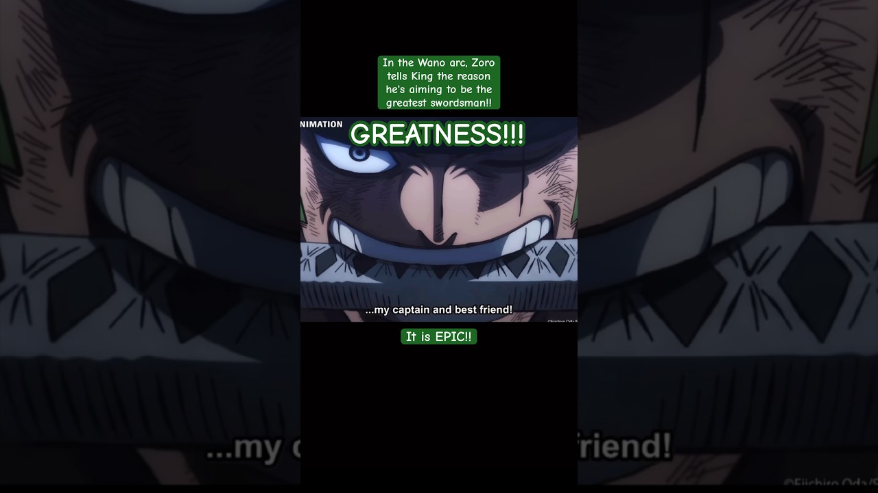 Zoro's EPIC Declaration!! | One Piece Highlights
