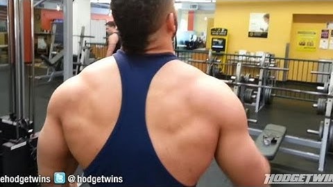 Hodgetwins Back Buffet Workout @hodgetwins