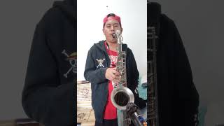 Download Lagu MEMORIES - Maki Otsuki - ONE PIECE Ending 1 (Tenor Saxophone Cover) 🎷 MP3 Download Lagu MEMORIES - Maki Otsuki - ONE PIECE Ending 1 (Tenor Saxophone Cover) 🎷 MP3
