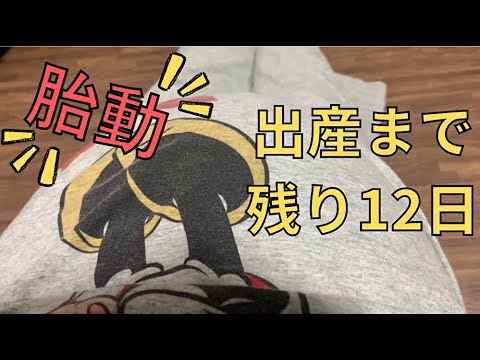 【臨月の胎動】出産まであと12日　Fetal movement　Full month