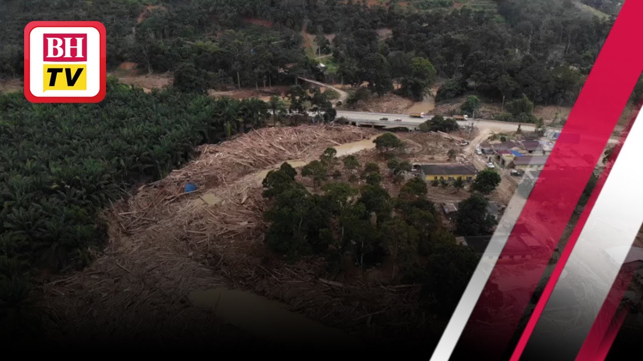 Hentikan pembalakan, kaji semula dasar