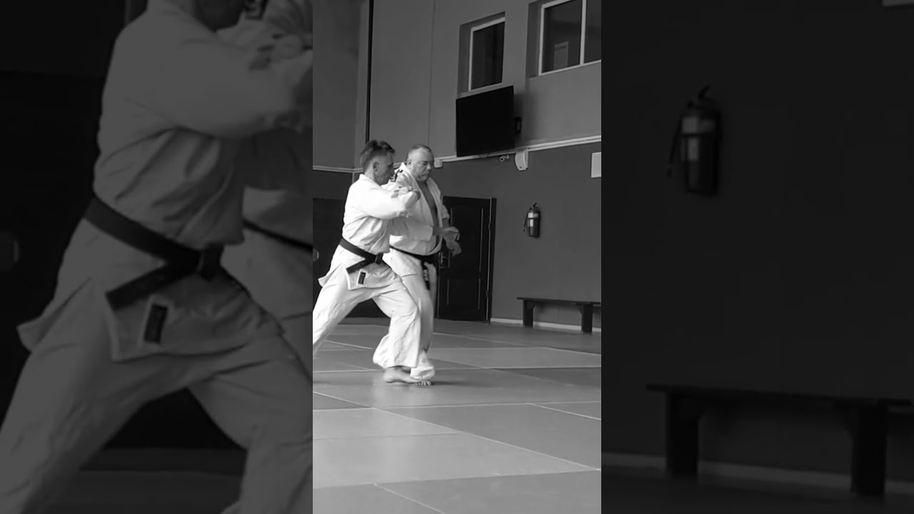 Shomen tsuki hijiate kokyu nage (Ni) 