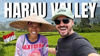 Download Lagu My First Day in Harau Valley 🇮🇩 | Life Between the Rice Fields MP3