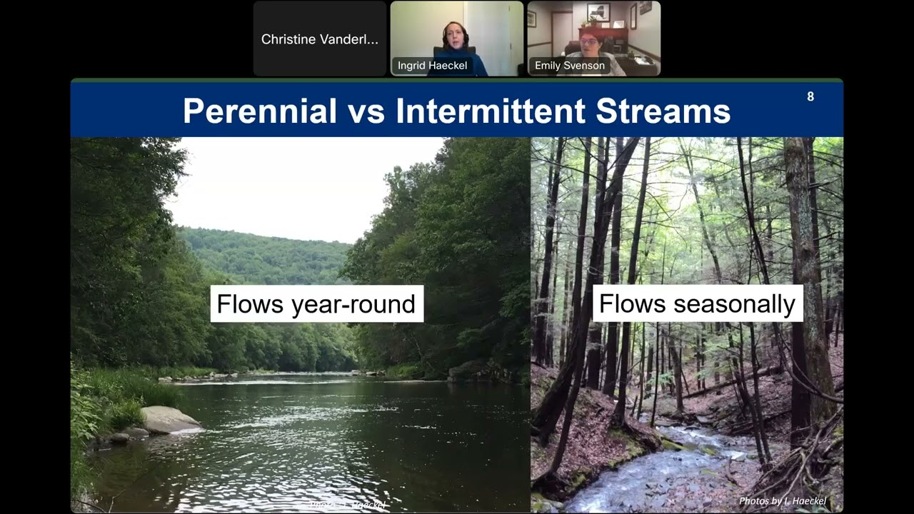Protecting Wetlands and Streams in Your Community
