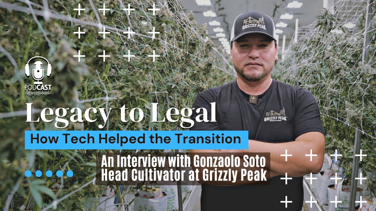 Legacy to Legal: How Tech Helped the Transition
