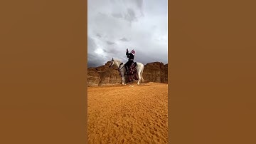 القارئ عبدالرحمن مسعد - سورة العنكبوت الآيه(9)