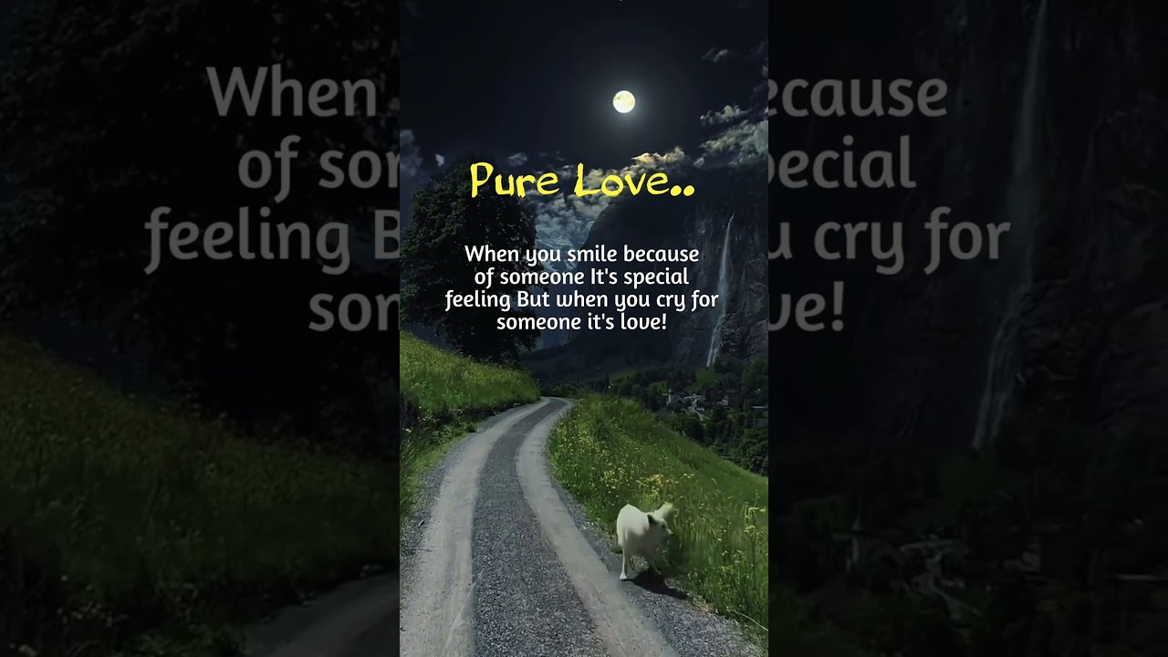 English quotes about life lessons whatsApp status