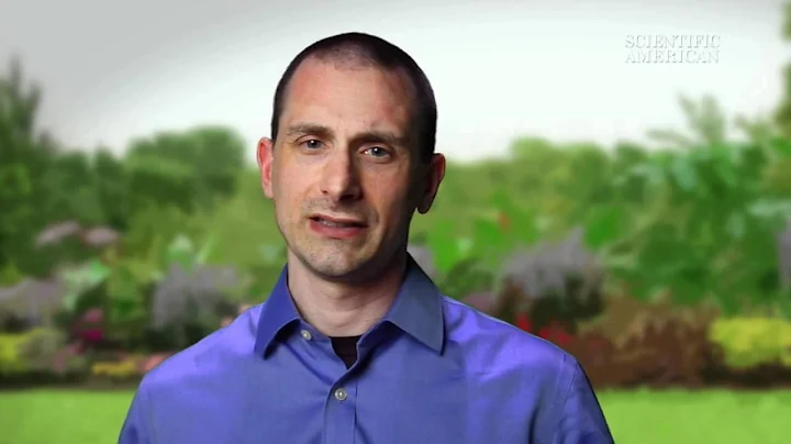 How Does a Light Field Camera Work? - Instant Egghead #13