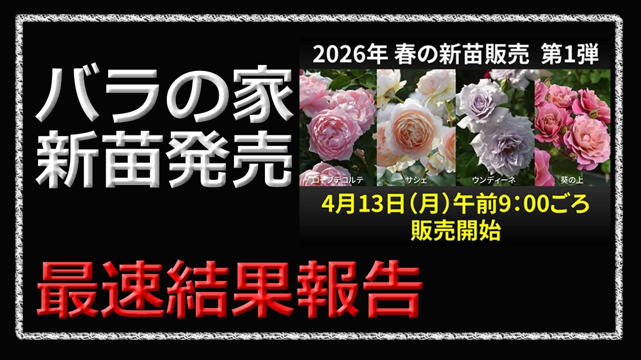 Rose House: New seedlings now available! - YouTube