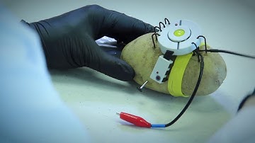 Portal 2 PotatOS Science Kit from ThinkGeek