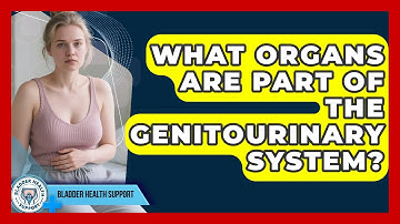 What Organs Are Part of the Genitourinary System? | Bladder Health Support News