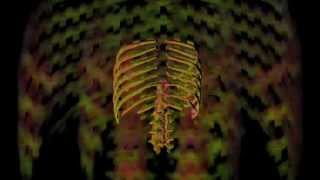Walton - Frisbee Hyperdub 2013