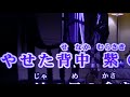 00204 愛の嵐   中村周二covre