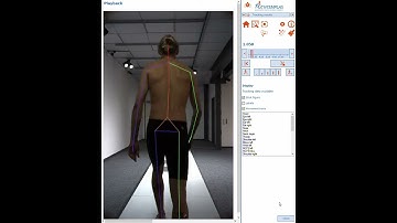 2D markerless tracking: Gait // CONTEMPLAS MULIT CAMERA SYSTEM®