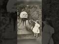 Уникальные кадры: наэлектризованные облака и пальма-гибрид #shorts