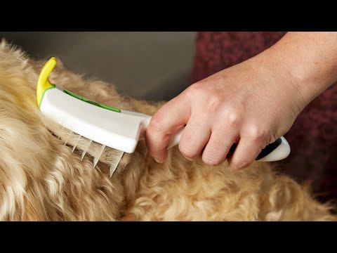 LUMO | Self-Cleaning Pet Grooming Brush