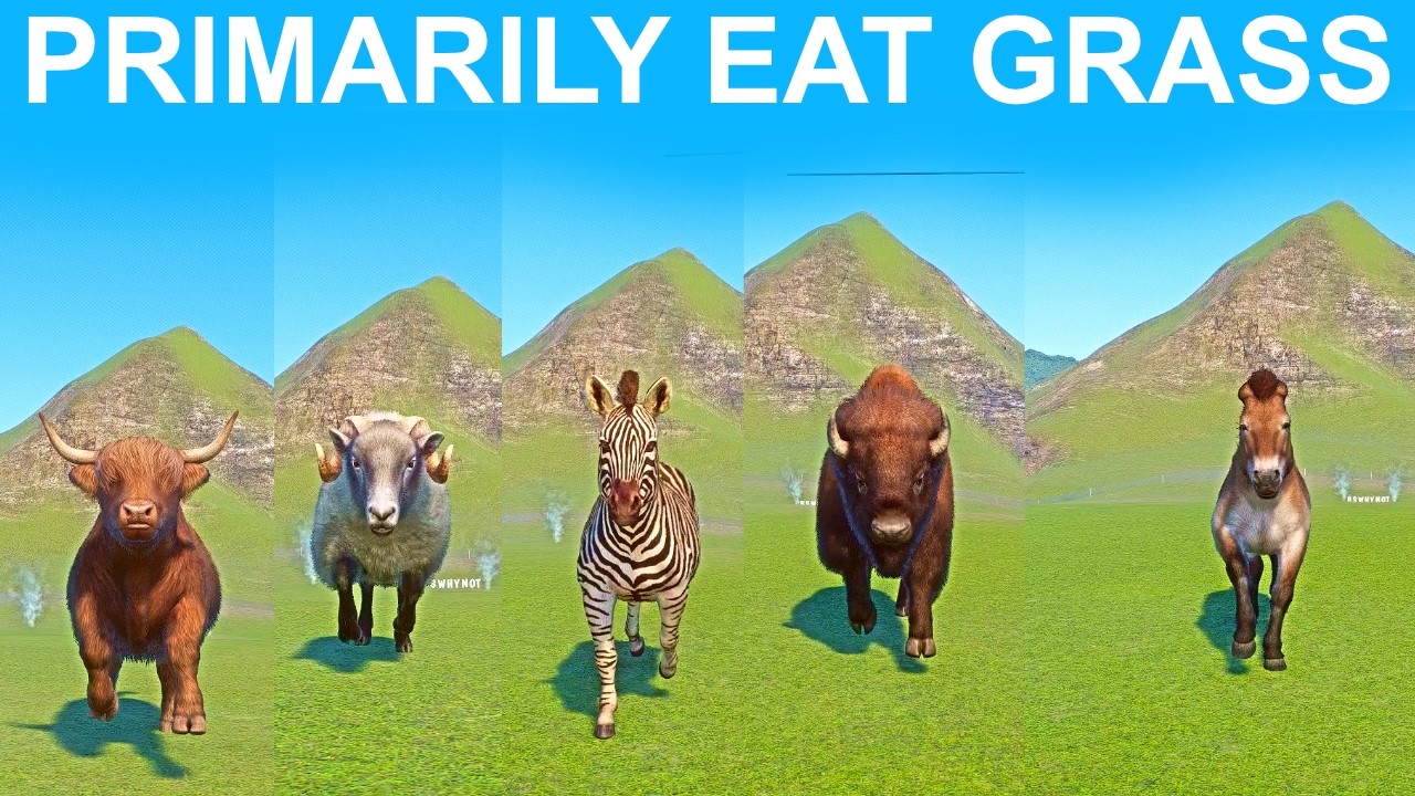 В игре Planet Zoo, где животные, питающиеся преимущественно травой, участвуют в скоростных забега...