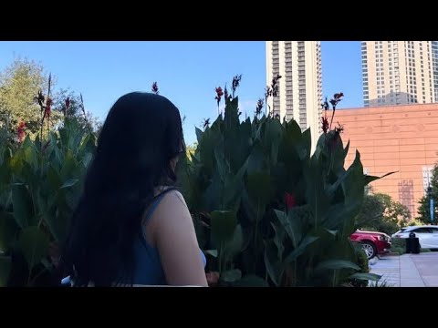 الزروالي ابتزااز وکیل جدید ینفد خطة جراندو حجاوي  الزروالي ابتزااز وکیل جدید ینفد خطة جراندو حجاوي