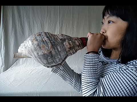 戦国時代☆法螺貝呼笛（陣貝）ホラ貝 - YouTube