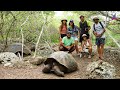 GALÁPAGOS, onde a VIDA ANIMAL segue LIVRE - Unforgettable Sailing (Ep.96)