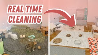 RealTime Cleaning My Bunny Room!