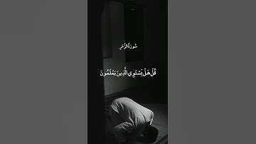 أَمَّنْ هُوَ قَانِتٌ آنَاءَ اللَّيْلِ || سورة الزمر || ياسر الدوسري