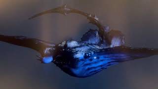 Leviathan NO Manta Desert Test Rig #animation #b3d #3dart #zbrush #creature  #blender