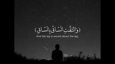 القرآن الكريم حالات واتساب ماهر المعيقلي كلا إذا بلغت التراقىِ