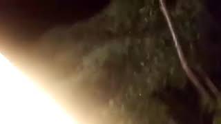 Gaja Cyclone Attacks Tamil Nadu