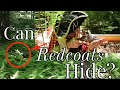 Could Redcoats "Blend In" with their Environment?