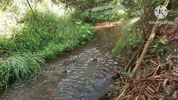 Cần Bán Vườn trái cây 4548m² 200 thổ cư,  view suối nước quanh năm tại Láng Lớn huyện Châu Đức BRVT