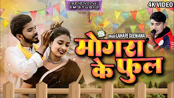 Lahare Diwana | Cg Song | मोंगरा के फूल | Mongra Ke Phool | छत्तीसगढ़ी गीत 2024 | Surmohni Studio Cg